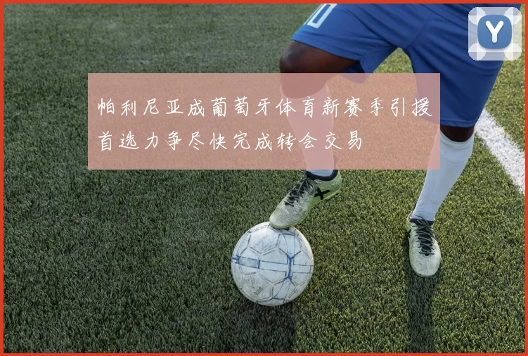 帕利尼亚成葡萄牙体育新赛季引援首选力争尽快完成转会交易